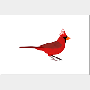 Northern cardinal bird black Posters and Art